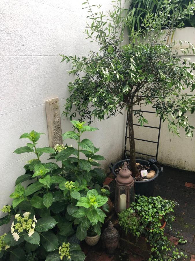 Olive Tree Apartment Hove 외부 사진